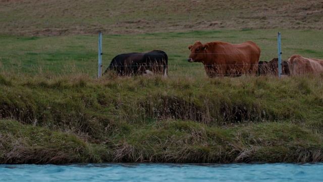 Звуки природы. Шум водопада. смотреть онлайн