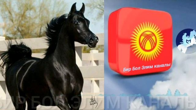 Хан Шырдакбектин боз жоргосу.Кыргыз эл дастаны. смотреть онлайн