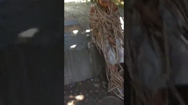 Слушайте звук....пацана сейчас сожгут! смотреть онлайн