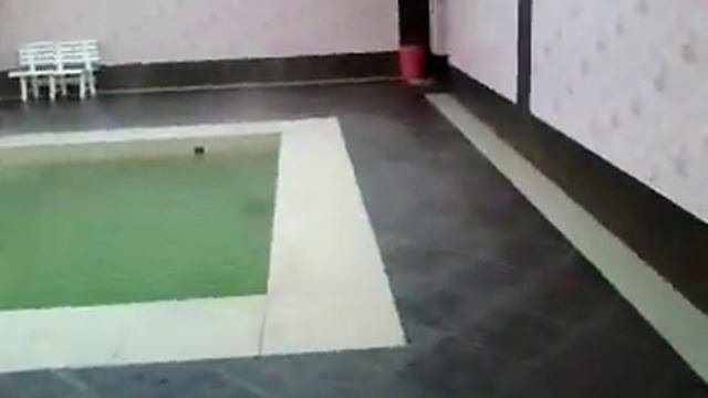 Аушигер, Горячий источник смотреть онлайн