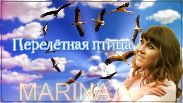 MARINA -ПЕРЕЛЕТНАЯ ПТИЦА-муз:Белая Лилия -сл:Oлег Боровик смотреть онлайн