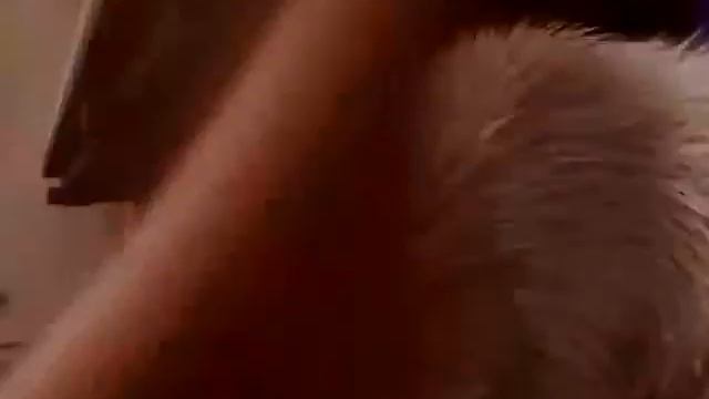 Вернулась кошка! смотреть онлайн