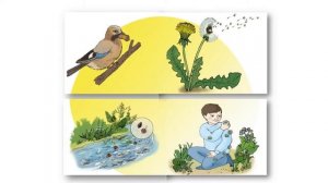 Тема 4. Тема Растения — часть живой природы. Жизнь растений осенью. Листопад