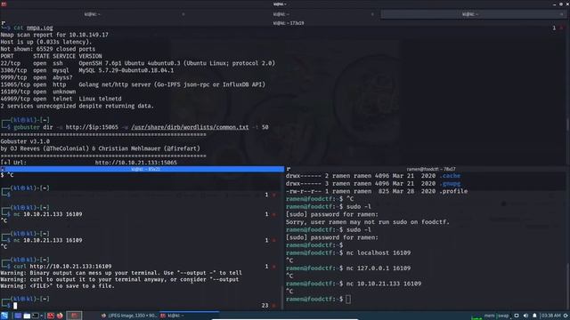 TryHackMe - KoTH Food (King of the Hill) смотреть онлайн