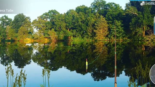 как и где ловить#угорь#MyFishingWorld смотреть онлайн