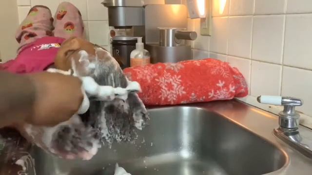 Toddler Hair Wash Routine 💜