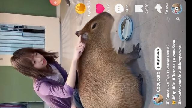 хз что это смотреть онлайн
