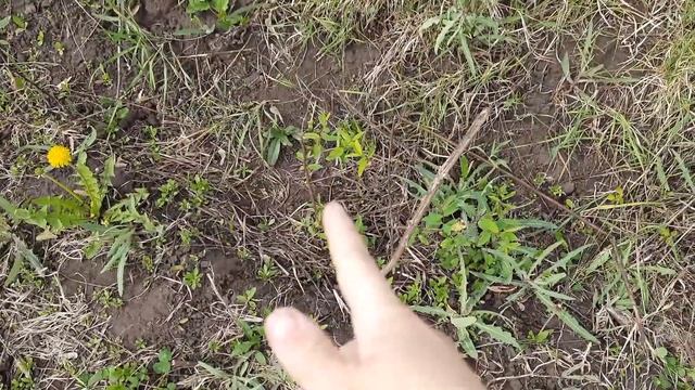 Три части // Пожар за огородом // Мини-сад // Полянка с кустарниками смотреть онлайн