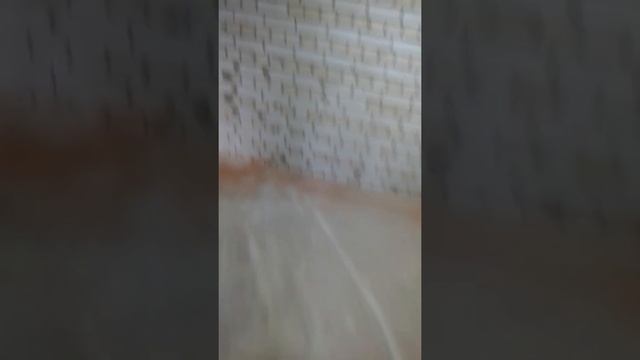 3х комнатная квартира электрика. смотреть онлайн