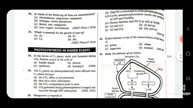 Plant Physiology ( Important Solved MCQs for Master Cadre Science Preparation смотреть онлайн