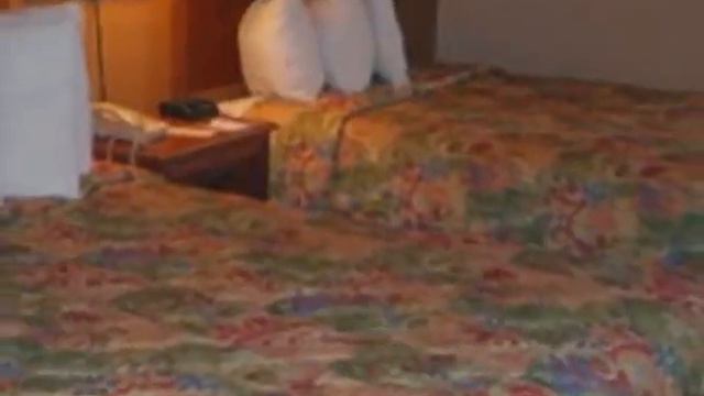 Quality inn universal studios смотреть онлайн