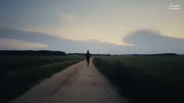 Как выжить во время цунами? | ПОЛЕЗНЫЙ ЮТУБ смотреть онлайн