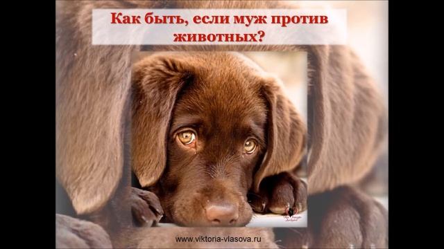 Загадка размышления и задания задача эзотерической мудрости