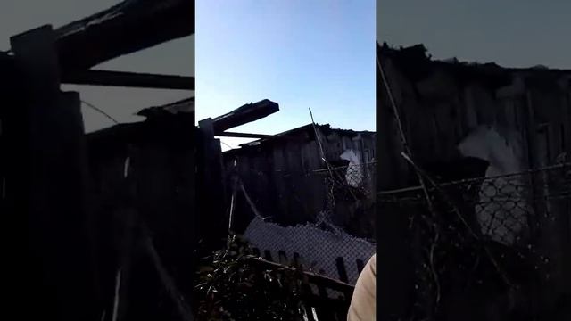 Борьба с воробьями))) смотреть онлайн