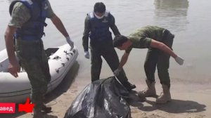 ТЕЛО УТОНУВШЕЙ ДЕВУШКИ НАШЛИ СПУСТЯ ПОЧТИ НЕДЕЛИ ПОИСКОВ