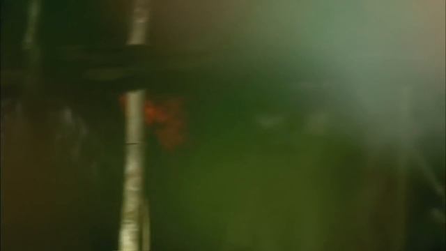 Самые Бесстрашные Животные на Земле смотреть онлайн