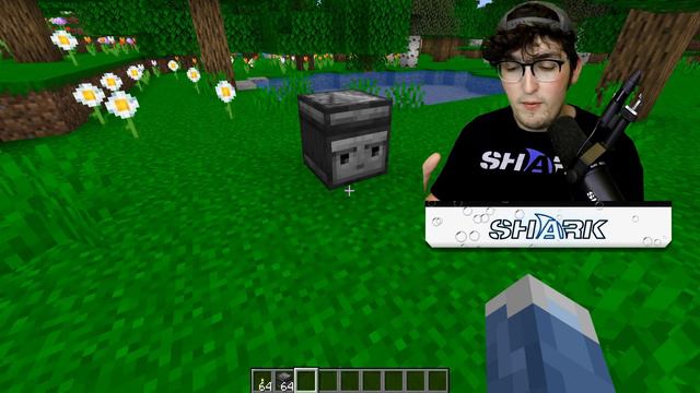 Minecraft Blocks That Are In REAL LIFE! (Items, Blocks, Animals) смотреть онлайн