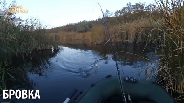 Рыбалка. Секреты ловли крупной щуки. смотреть онлайн