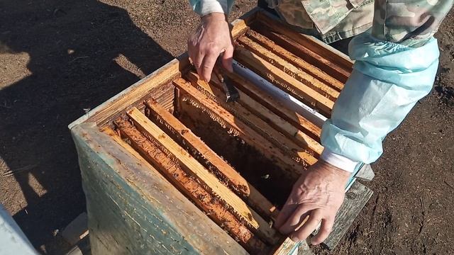 Первая  весенняя ревизия  сделана .