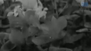 8 марта. История праздника