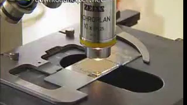 Значение фотосинтеза смотреть онлайн