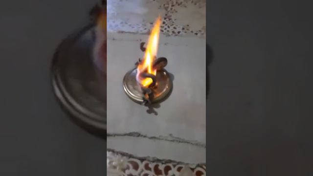 Фараонові ЗМІЇ!!! РЕАЛЬНО РОСТУТЬ ЗМІЇ!!! смотреть онлайн