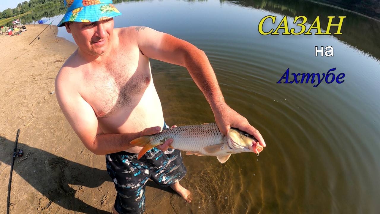 Поймал сазанчика на Ахтубе смотреть онлайн