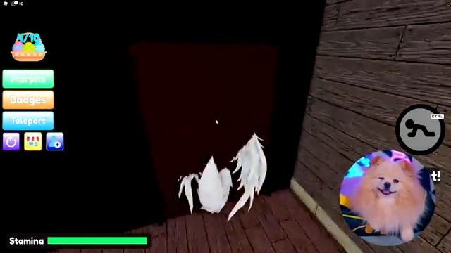 НАЙДИ ВСЕХ ПОРОСЯТ В РОБЛОКС | ПЕППА, ГРЕННИ ПИГ, PEPPA PIG в ROBLOX смотреть онлайн