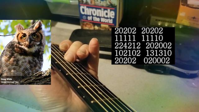 California Dreaming few guitar solo notes смотреть онлайн
