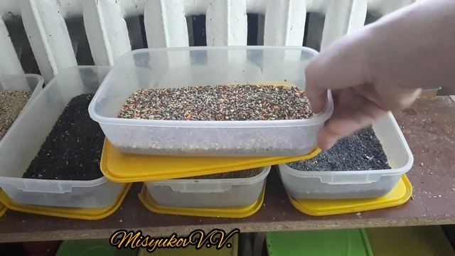 Корм для красношапочных вьюрков смотреть онлайн