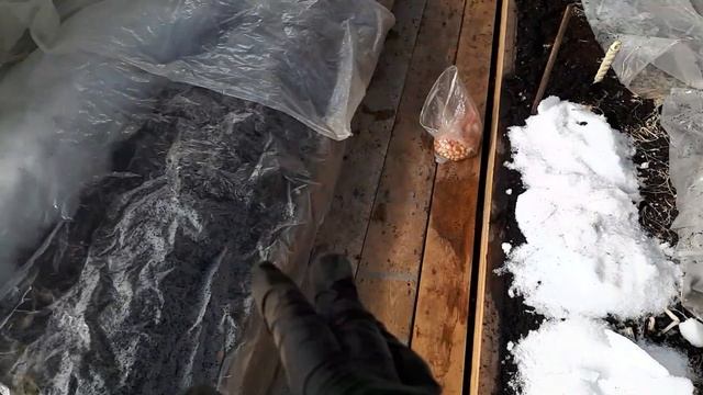 Лук на раннюю зелень в теплице. смотреть онлайн