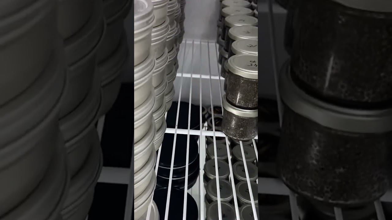 Хотели бы себе такой холодильник? #shorts смотреть онлайн