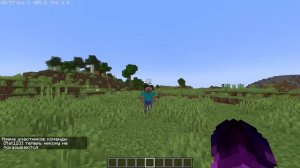 Как СКРЫТЬ НИКИ в майнкрафт БЕЗ МОДОВ