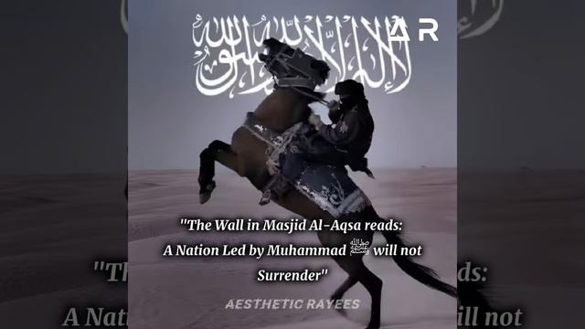 Takbeer - Allahu Akbar ☝??? | Jihad Nasheed | فلسطین ??