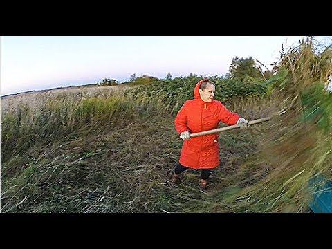 ОБЫЧНЫЙ ОСЕННИЙ ВЕЧЕРОЧЕК В ДЕРЕВНЕ.. смотреть онлайн