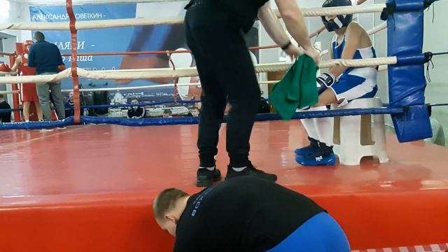 первые соревнования по боксу смотреть онлайн