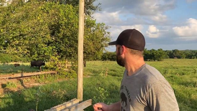 Big Joe Is OUT With His New Herd! Major Changes To The Ranch смотреть онлайн