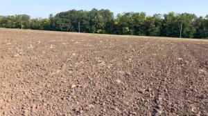 Озимая пшеница по озимой пшенице. Как это делаем мы. Урожайность по колосовым в 2022г 72-81ц/га.