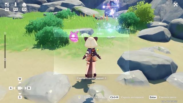 СДЕЛАЙТЕ 4 ФОТОГРАФИИ ДИКОВИН МОНДШТАДТА / ГДЕ НАЙТИ ДИКОВИНЫ В МОНДШТАДТЕ GENSHIN IMPACT