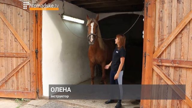 Півцарства за коня: як лицарських скакунів готували до «ТуСтані» смотреть онлайн
