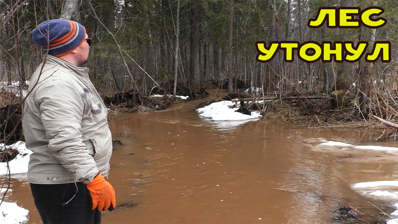 Как затопило мой Суэцкий канал! смотреть онлайн