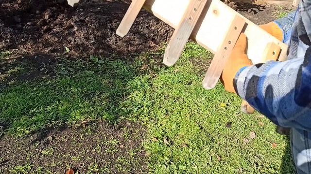 Садим озимый чеснок по новому! Новое приспособление для посадки чеснока! Очень удобное! смотреть онлайн