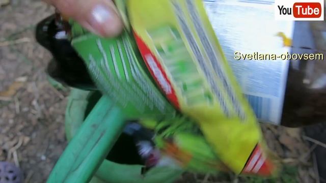 САЖАЕМ ЧЕСНОК ОСЕНЬЮ С ХИТРОСТЬЮ -В СИДЕРАТЫ СИДЕРАТЫ ! ГОЛОВКИ ВЫРАСТУТ ОГРОМНЫЕ. смотреть онлайн