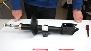 Передние стойки для RENAULT Duster 4WD, Kaptur, NISSAN Terrano D10