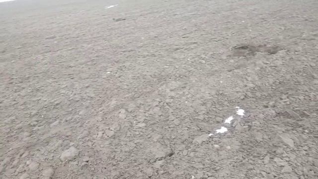 •Коп 2023||• Поиск монет||•Решил добить домик и не зря!||•Первое серебро и интересная сопутка!|| смотреть онлайн