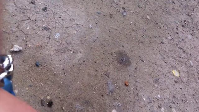 Vlog: африканские косички,гуляю в парке,кормлю птичек смотреть онлайн