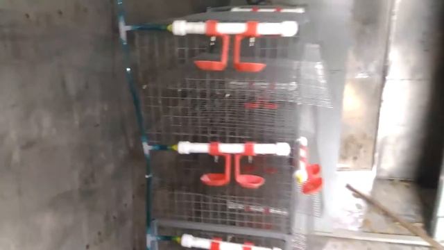 Подключение ниппельных поилок смотреть онлайн