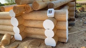 Обработка сруба антисептиком и защита торцов!