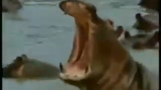 Британская реклама Lada 1980 год) смотреть онлайн