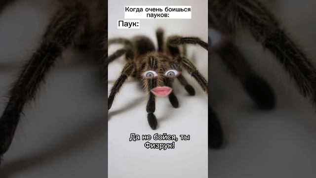 Паук и Физрук! Прикол ? #shorts смотреть онлайн